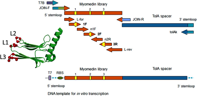 Figure 1