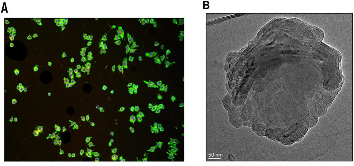 Figure 5