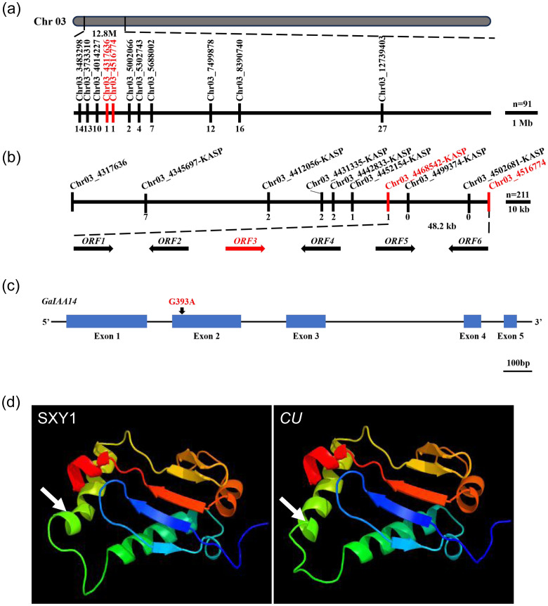Figure 3