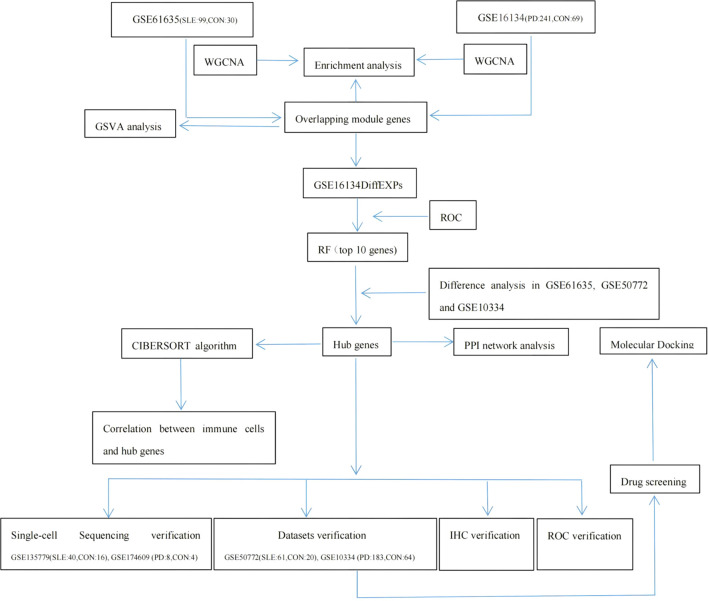 Figure 1