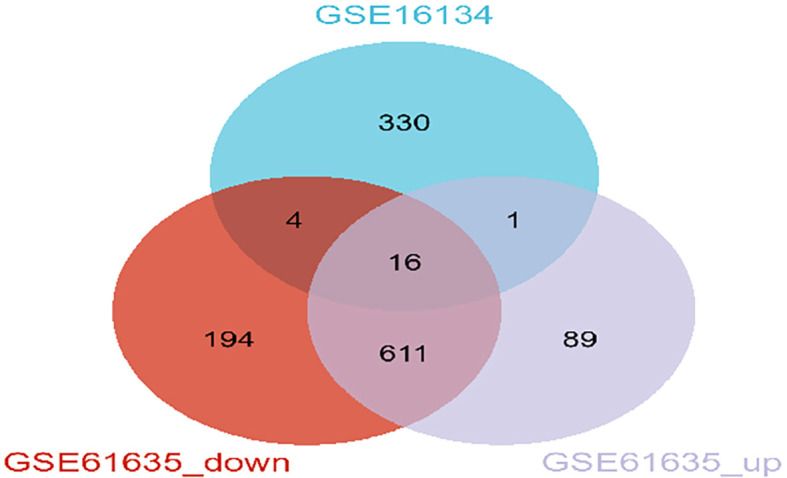 Figure 3
