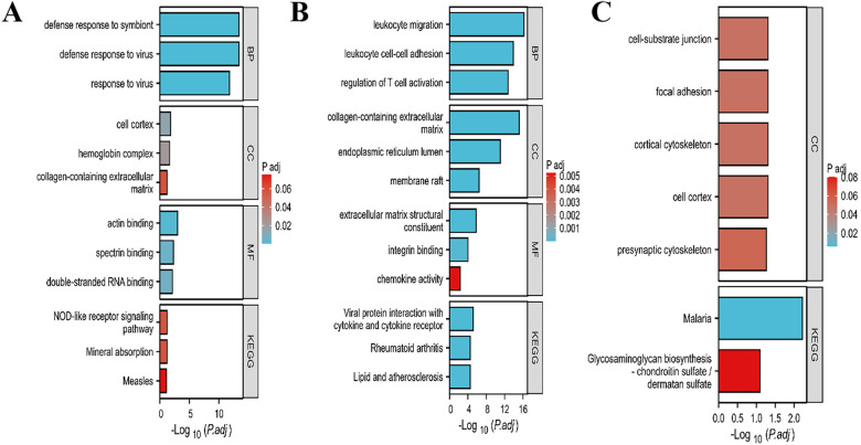 Figure 4