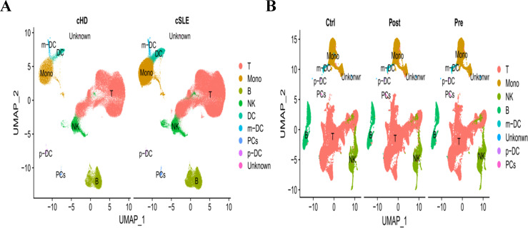 Figure 13