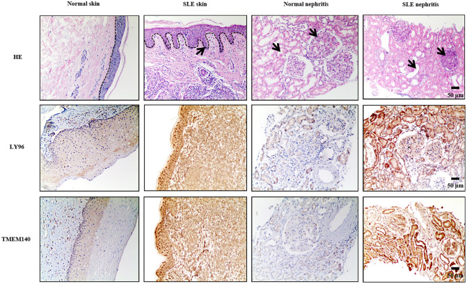 Figure 15