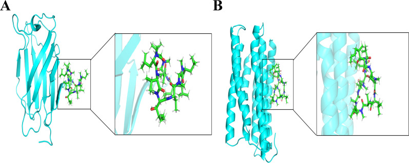 Figure 17