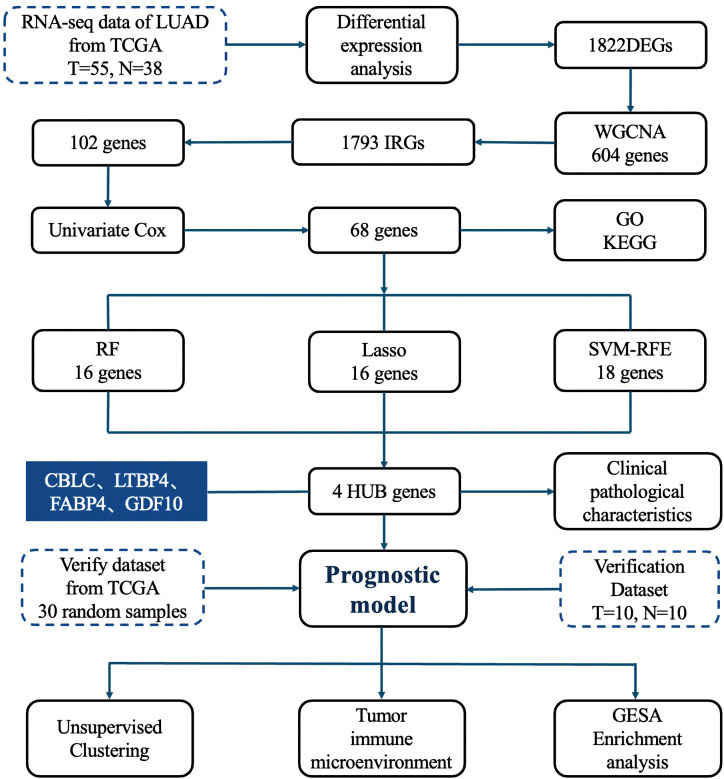 Figure 1