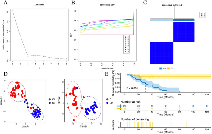 Figure 12