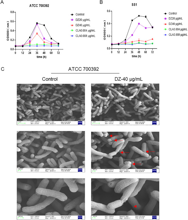 Figure 2