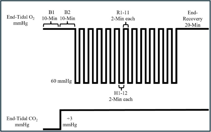 FIGURE 1
