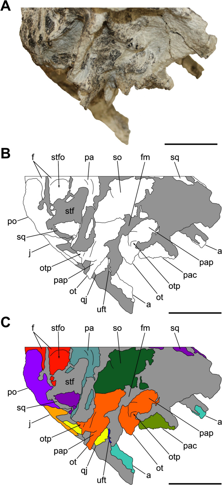 Figure 10