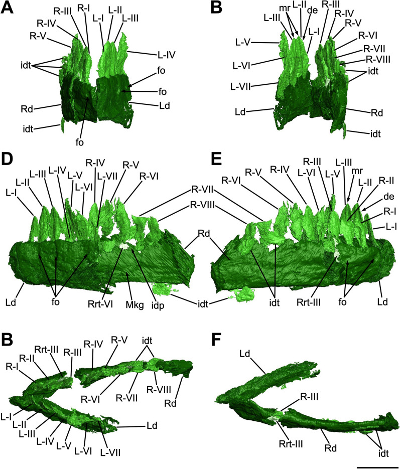 Figure 11