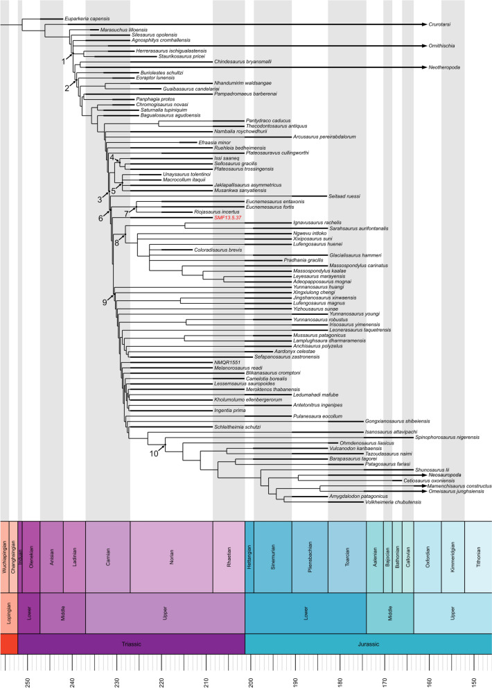 Figure 13