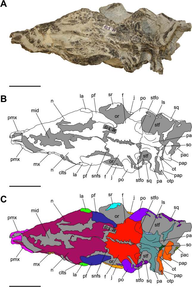 Figure 5