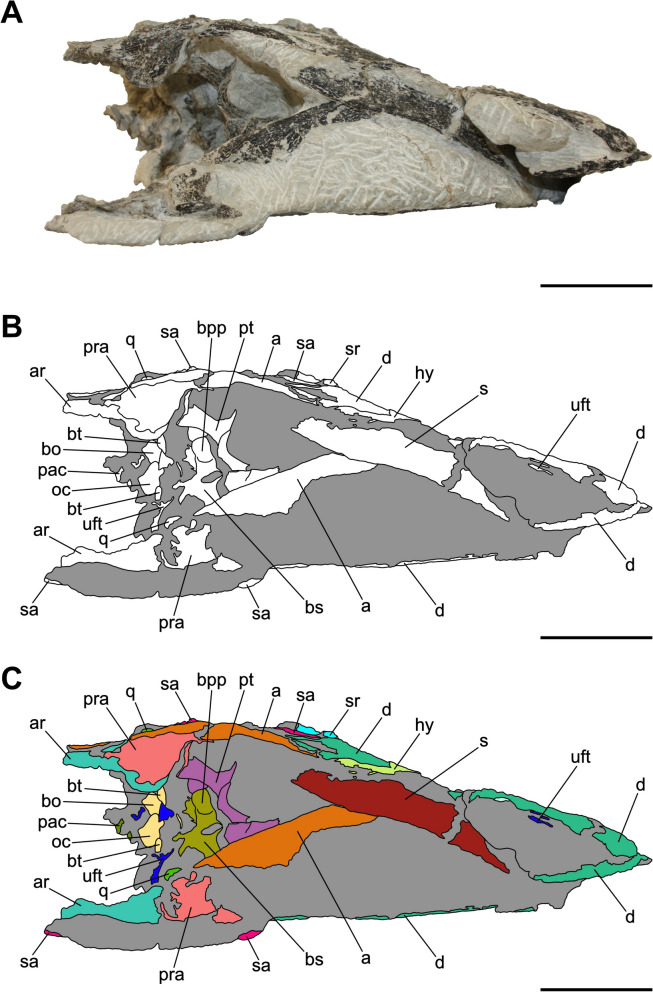 Figure 7