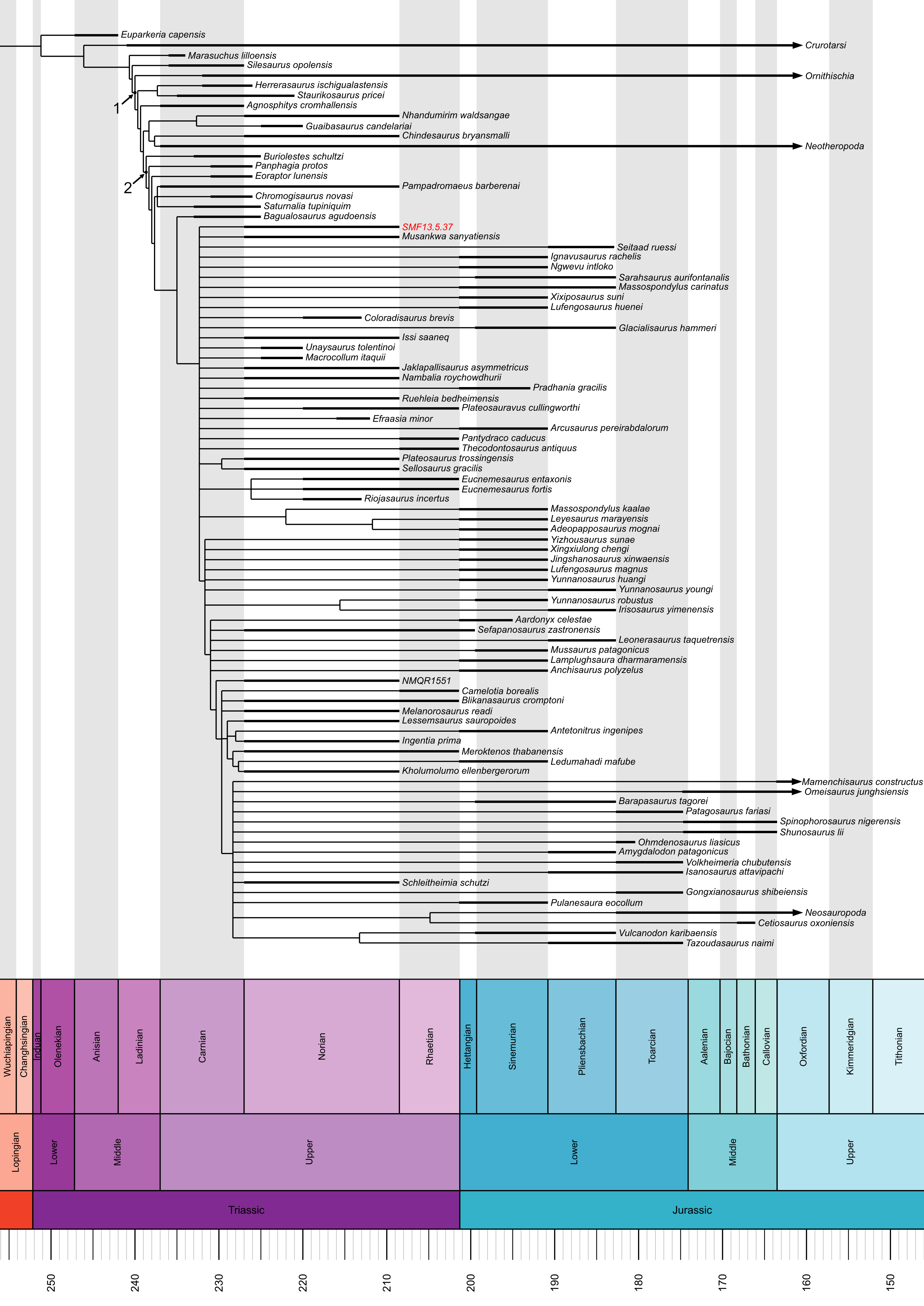 Figure 15