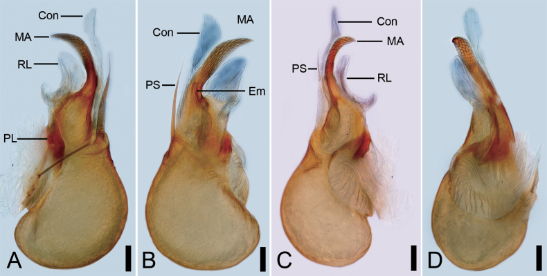 Figure 9