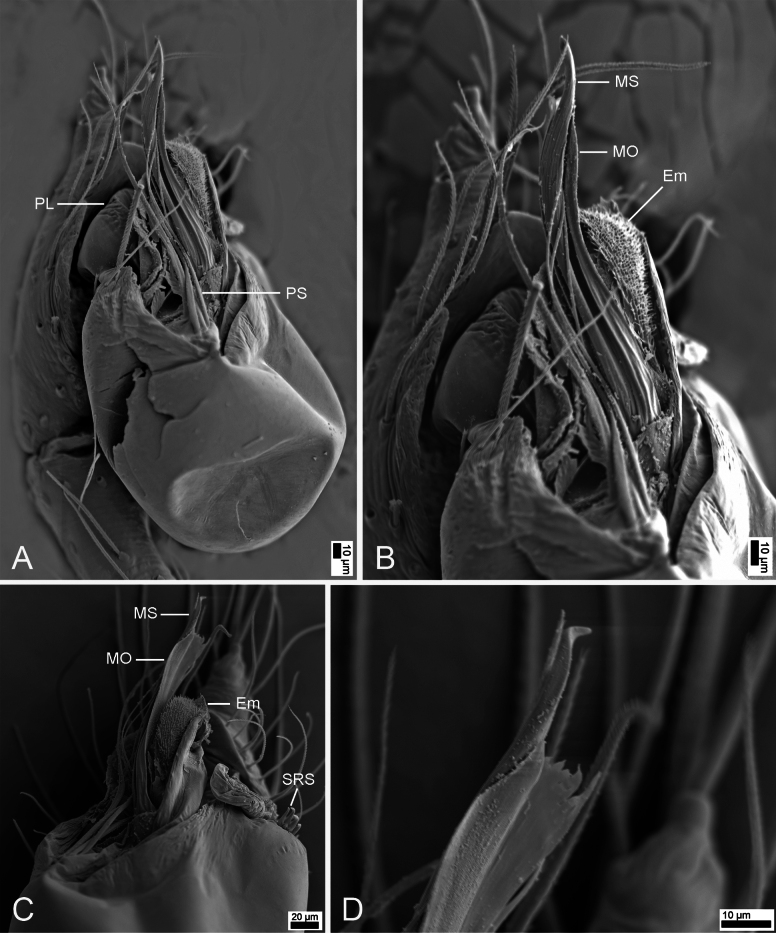 Figure 11