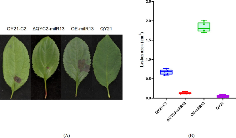 Figure 9