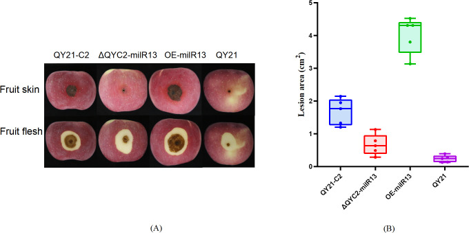 Figure 10