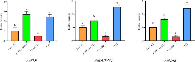 Figure 11