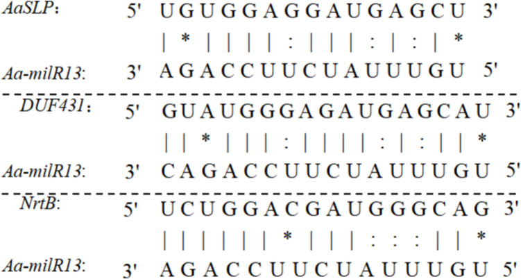Figure 12
