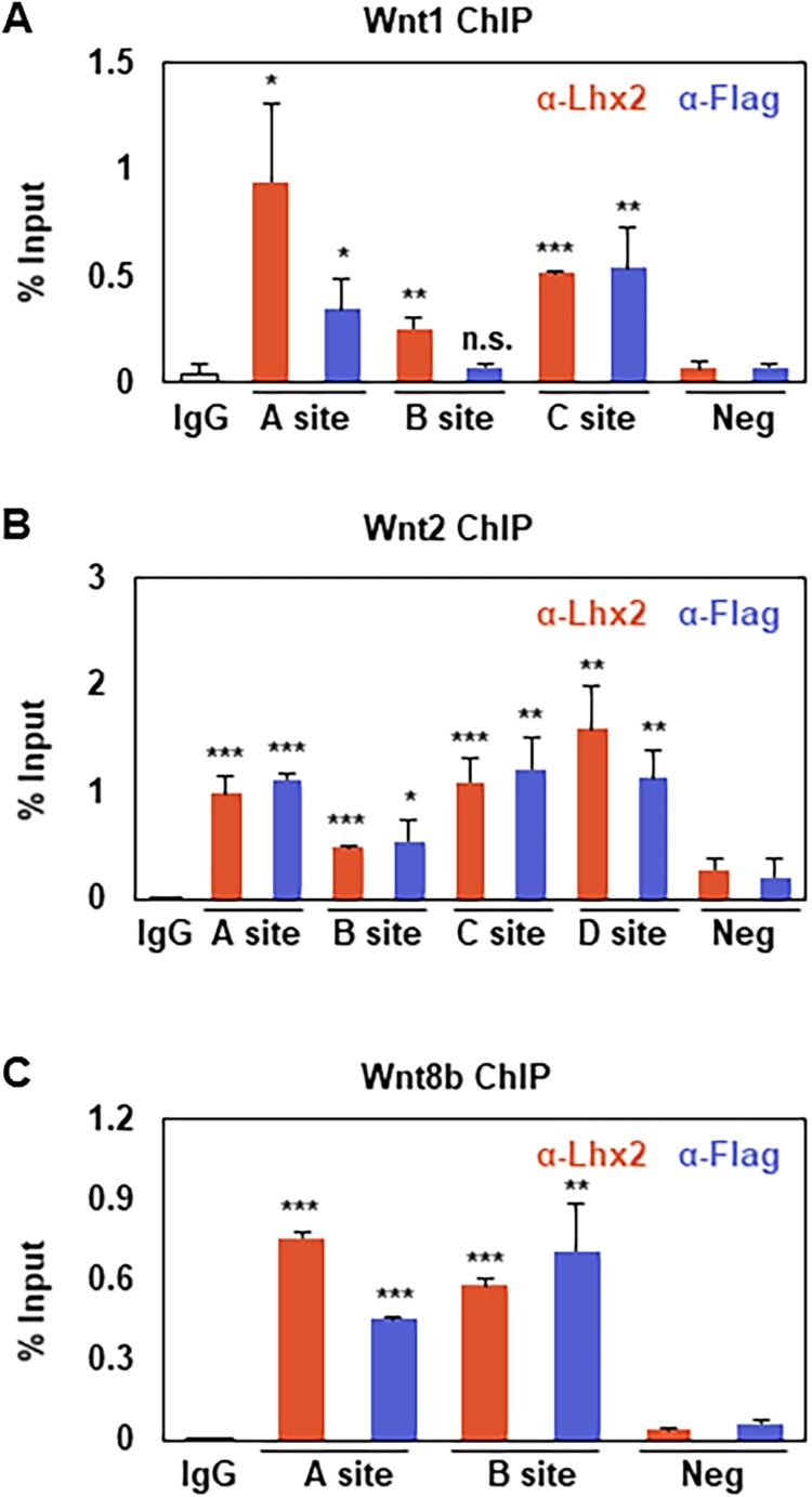 Figure 9