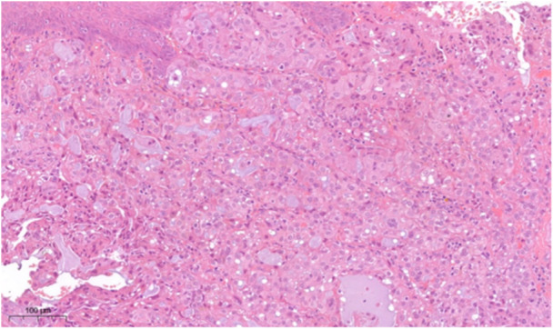 Figure 9