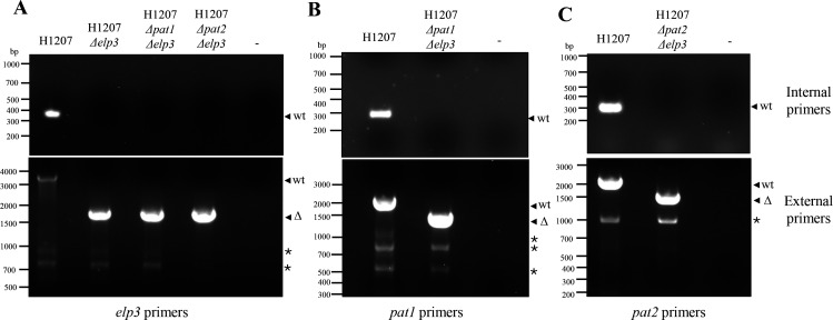 Figure 2