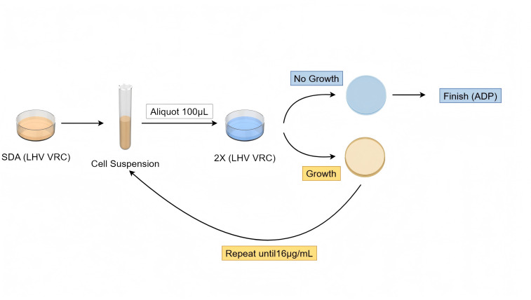 Figure 2