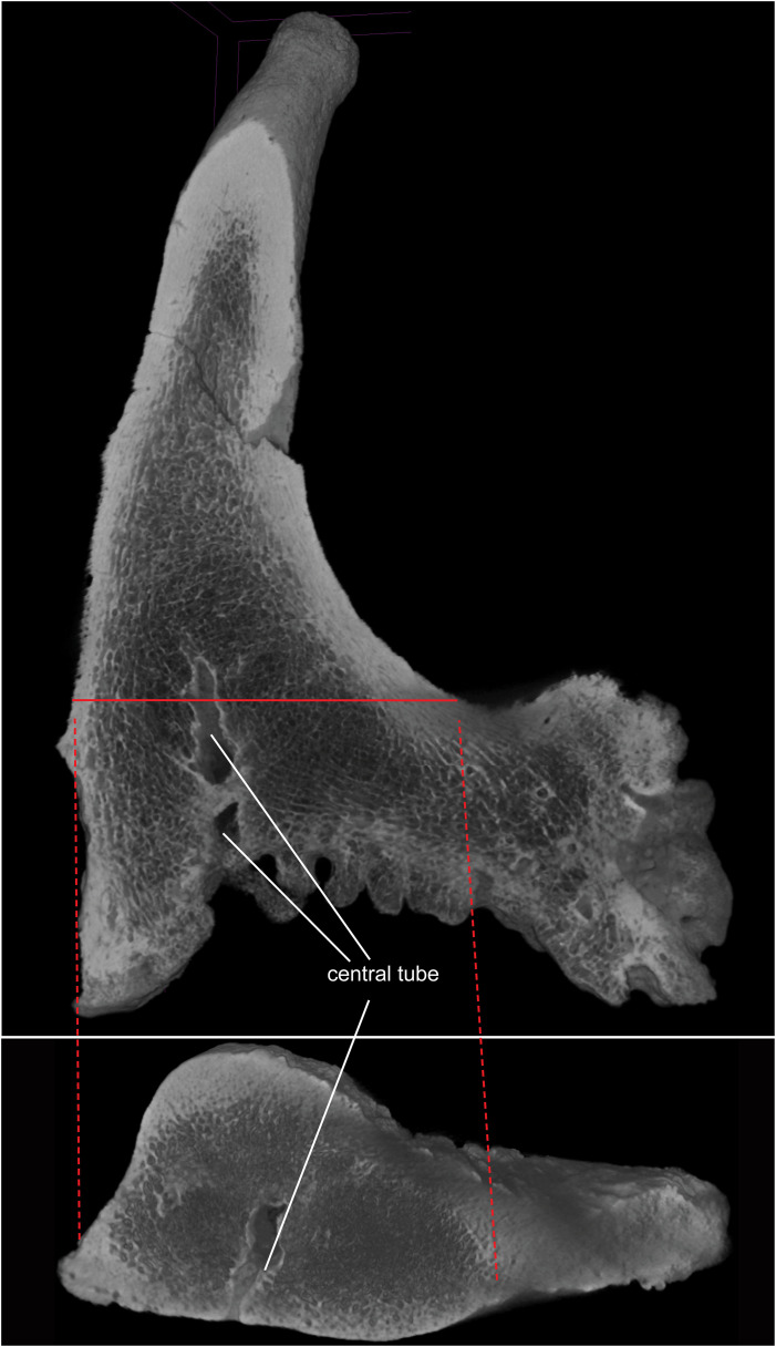 Figure 7