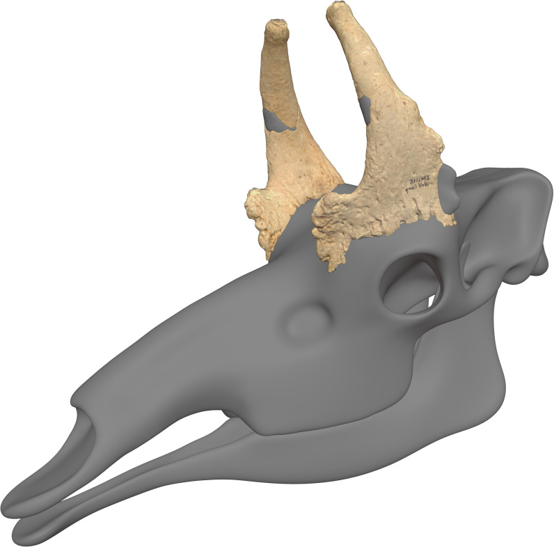Figure 9