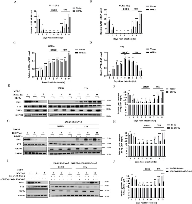 Fig 5