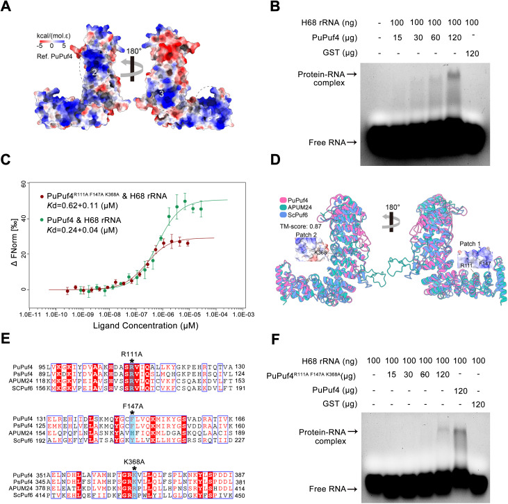 Fig 4