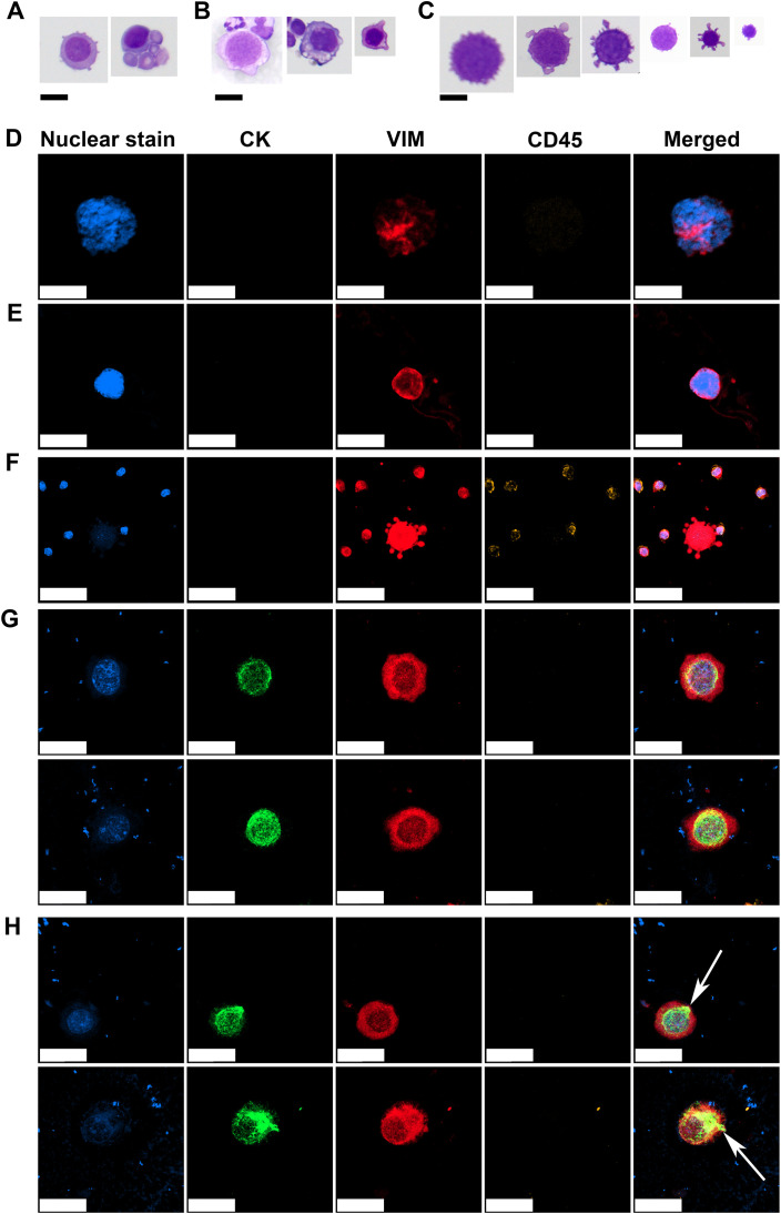 Figure 3