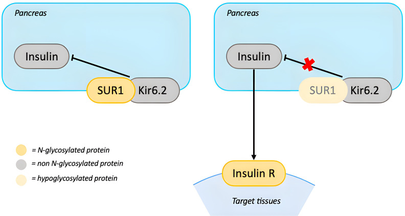 Figure 4