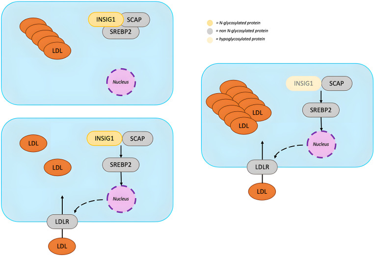 Figure 6