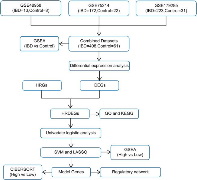 FIGURE 1