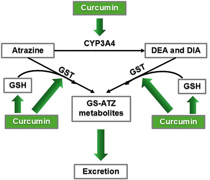 Figure 5