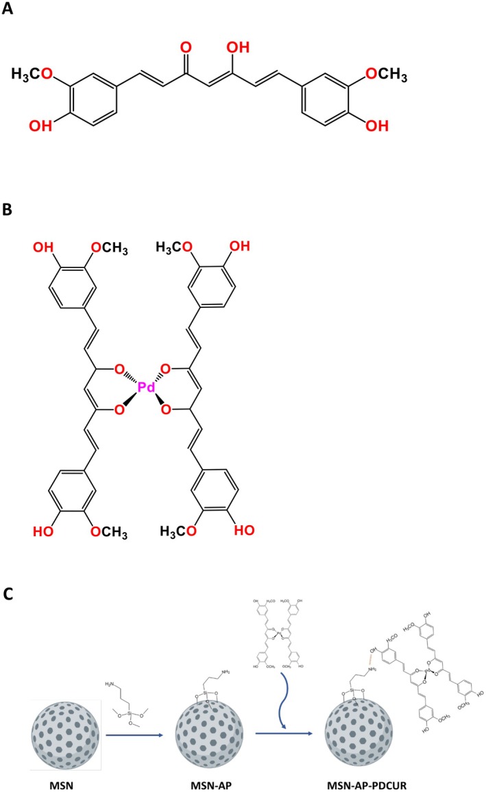 FIGURE 1