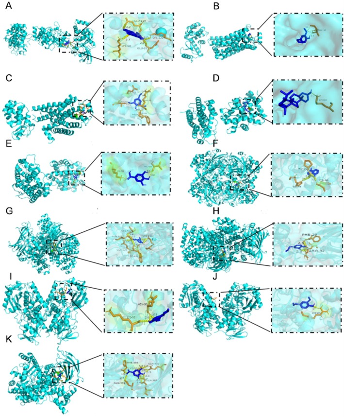 FIGURE 6