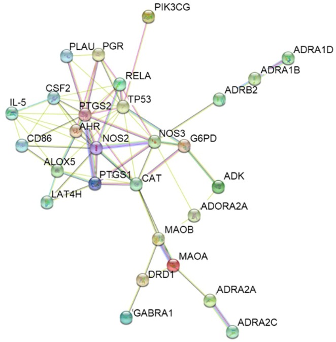 FIGURE 4