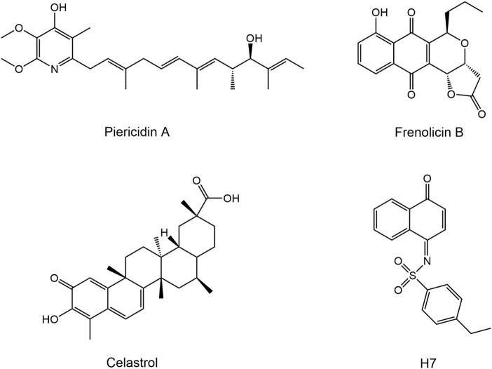 FIGURE 1