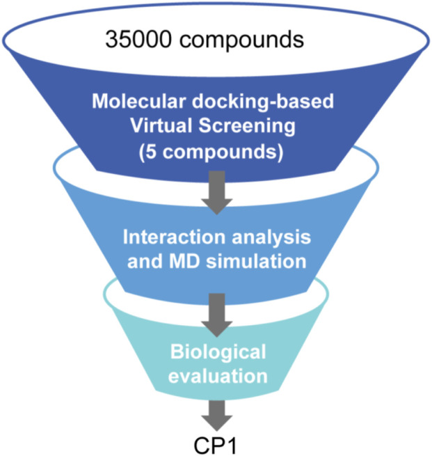 FIGURE 2