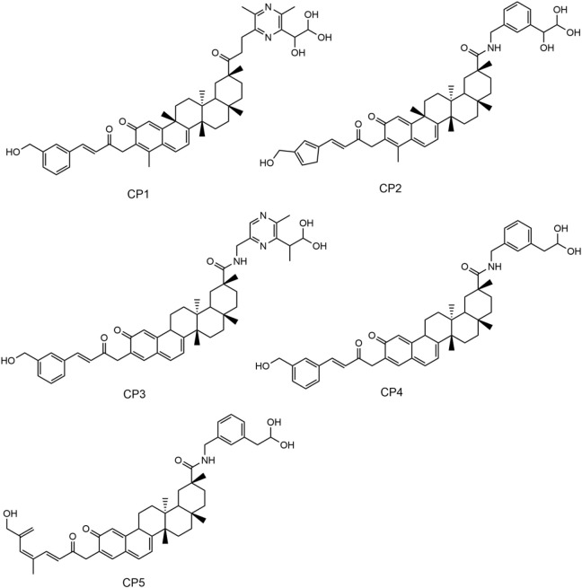 FIGURE 4