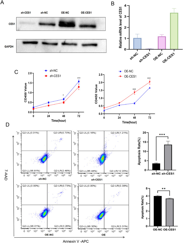 Figure 11