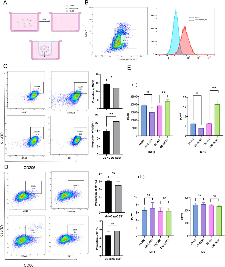 Figure 12