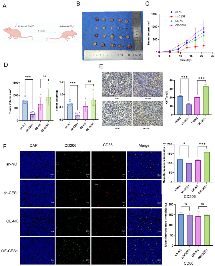 Figure 13