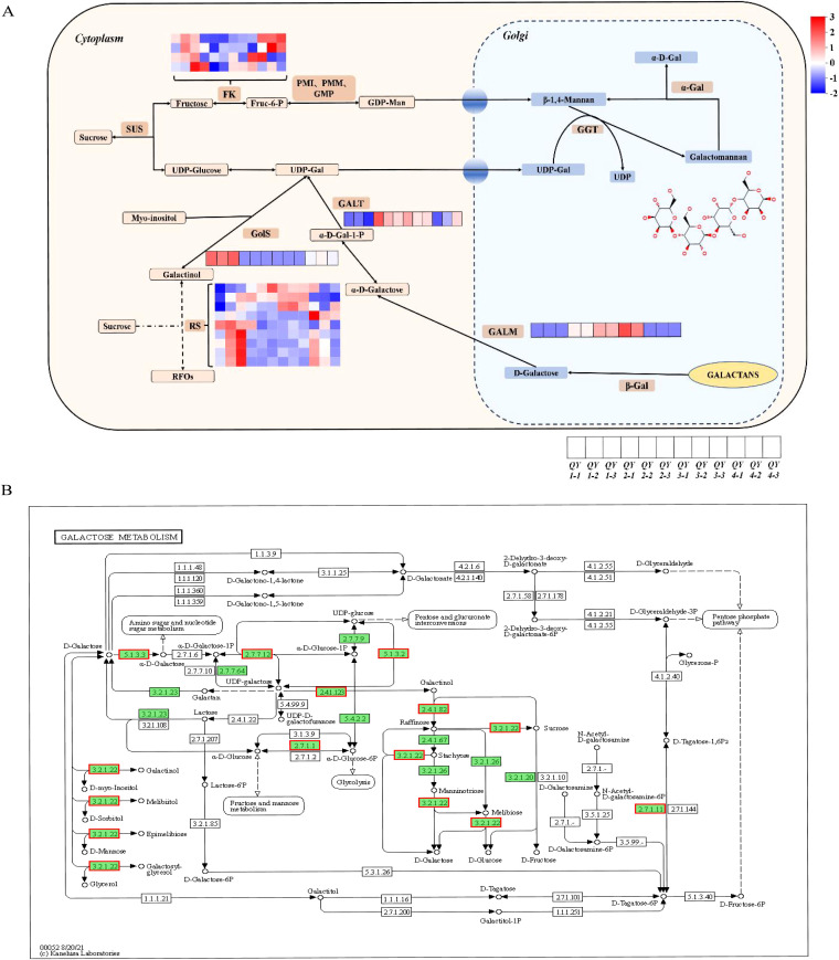 Figure 6