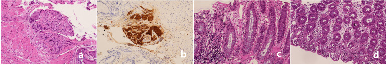 Figure 4