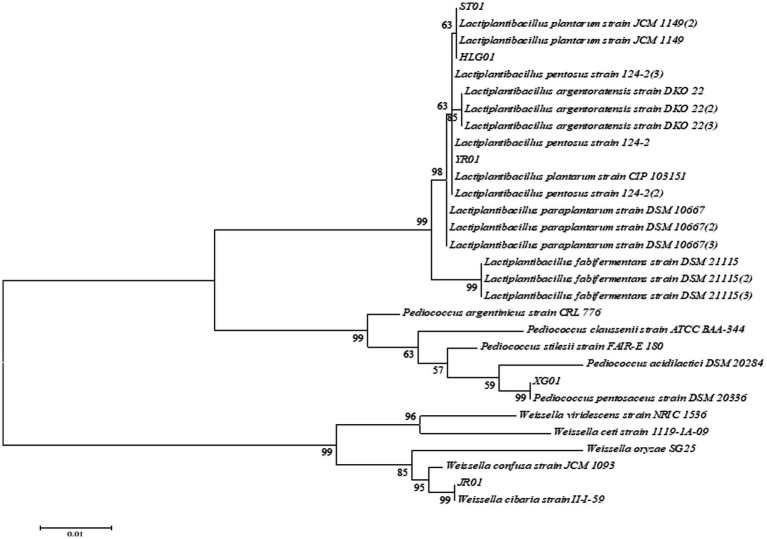 Figure 5